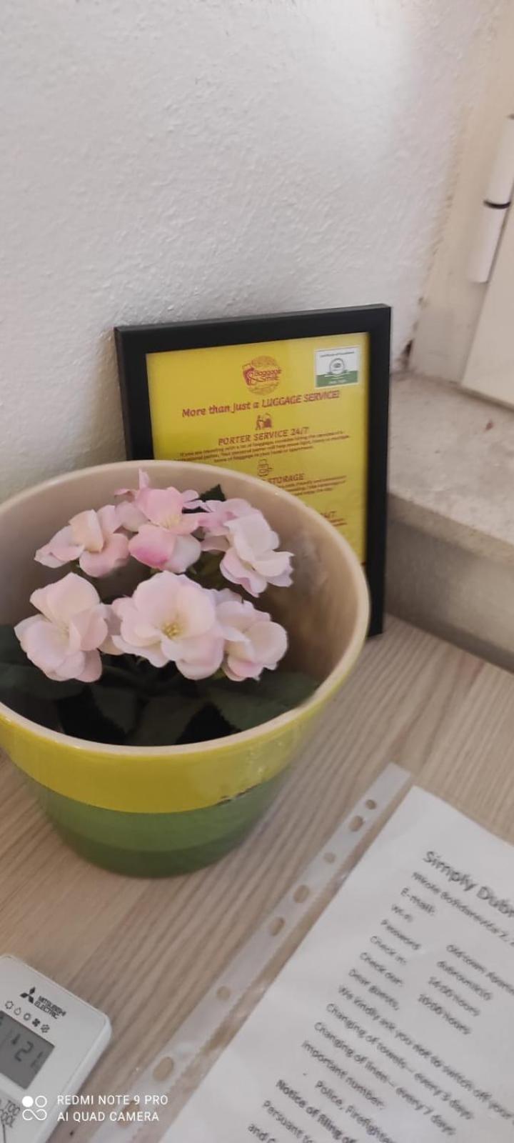 Simply Dubrovnik Nikole Bozidarevica 2 A B C D Apartman Kültér fotó